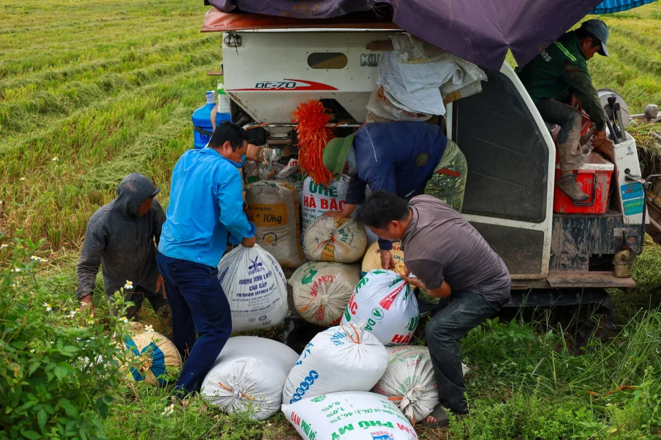 Kho gạo của Nguyễn Văn Sanh